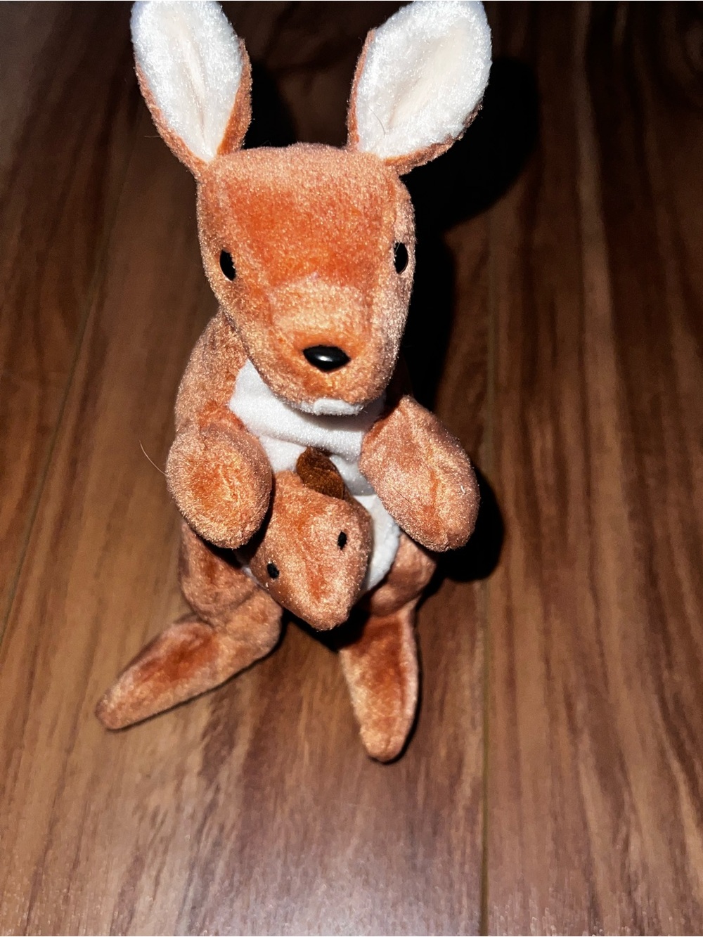 Ty beanie baby Pouch